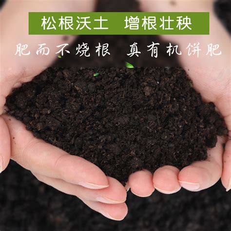 麻油粕肥料|【麻油粕肥料】麻油粕肥料：天然植物養分來源，提升花果樹健康。